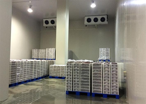 建造安裝1000㎡冷庫造價大概需要多少費用？_浩爽制冷