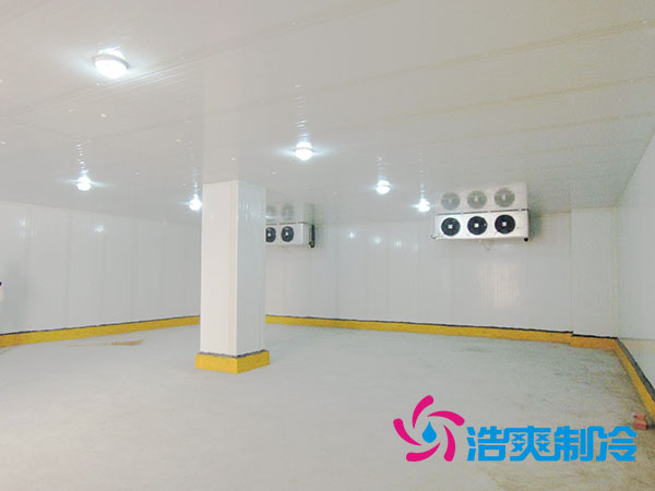 50噸果蔬氣調(diào)庫預(yù)算造價(jià)多少錢？-浩爽制冷