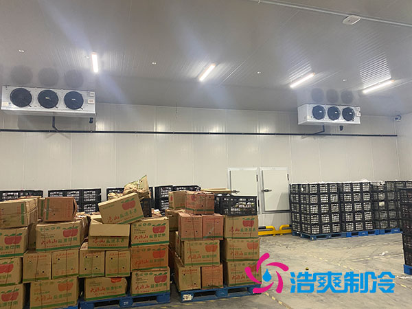 衡陽大型水果冷庫造價多少錢一平方？-浩爽制冷