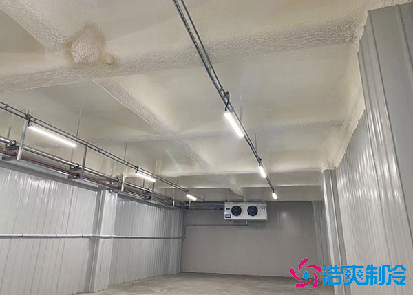 低溫冷庫建造用風冷好還是排管好？.jpg