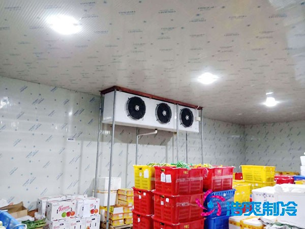 果品冷庫設計與安裝造價如何計算？-浩爽制冷