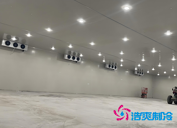 -18℃凍肉能放半年？揭秘食品冷庫造價秘密！-浩爽制冷